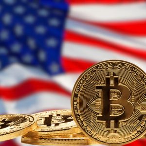 Crypto ownership soars in 2024, yet less than 1% of US shoppers use it