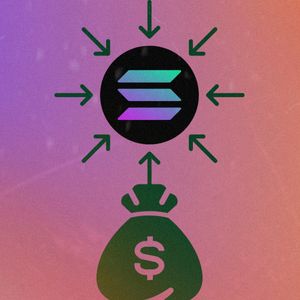 Solana peaks all other chains with highest daily net flows