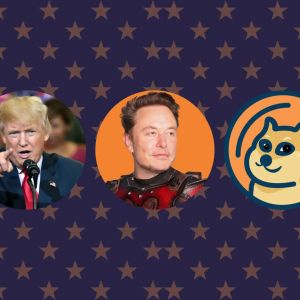 Elon Musk supports Trump and Dogecoin via his Department of Govt Efficiency