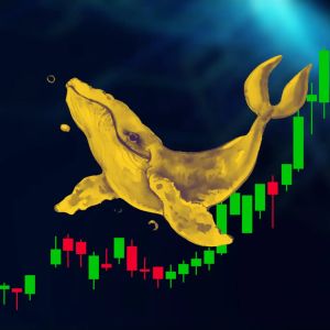 Santiment: Uptober is here, what coins are whales buying?