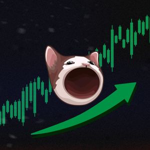 POPCAT crosses Lido DAO in market cap, are memecoins ready to boom?