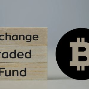 13 of the top 25 new funds in 2024 are Bitcoin and Ether-focused