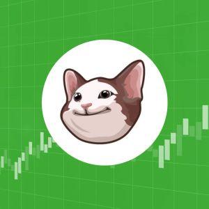 POPCAT, WIF’s 20% surge ignites meme tokens rally amid market buzz