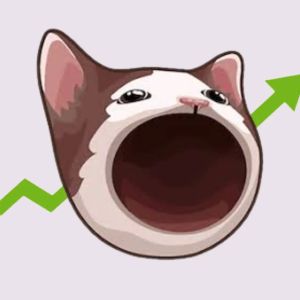 Popcat (POPCAT) whales buy near all-time high