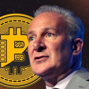 Peter Schiff mockingly tells Michael Saylor to buy off America’s Bitcoins