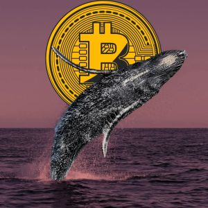 Bitcoin whales panicking? Dumps BTC at massive loss