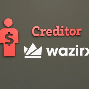 WazirX selects 10 creditors for the CoC but there is a catch