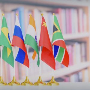 Russia calls on BRICS to ditch the IMF and make a better alternative