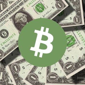 $407M pours into crypto funds, Bitcoin takes the lead