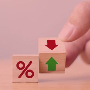 Former vice chair of the Federal Reserve speculates what will happen with the U.S. interest rates