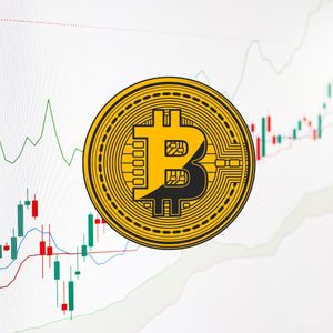 Bitcoin crosses $65k, high off China stimulus expectations and Trump’s high odds