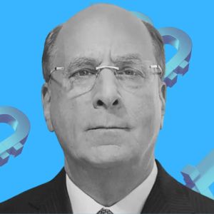 BlackRock’s Larry Fink declares Bitcoin a standalone asset class