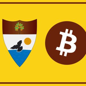 Curious case of the world’s first crypto country – Just how far can Liberland go before it gets crashed?