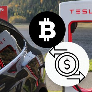 Tesla moves 11,500 bitcoins to unknown wallets raising concerns over possible liquidation