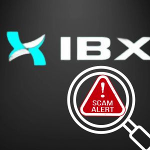 IBX (ARTIC) accused of ‘rugging’ investors after raising 160K SOL ($24M) in presale