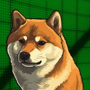 Why is Dogecoin pumping today?