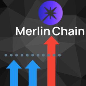 Merlin holds the leading position among Bitcoin L2 chains