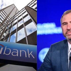 Ripple CEO Brad Garlinghouse claims Citibank cut him off due to his close ties with crypto