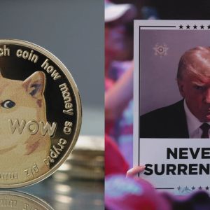 Memecoins face uncertain future under a Trump presidency