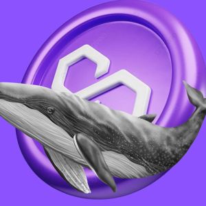 Whale accumulates MATIC despite price making new lows on delistings