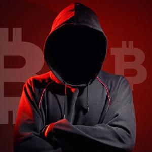 Lottie Player hit with a supply chain attack, stealing 10 wrapped BTC from Avalanche wallet