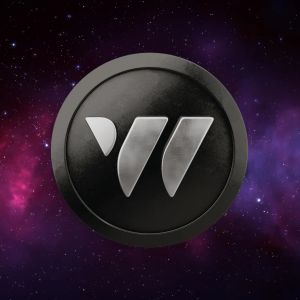 W-Coin reserves 70% for the community after Toncoin launch