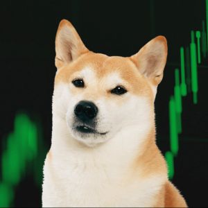 DOGE beats Bitcoin on Election Day