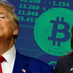 Bitcoin hits new all time high of $75,242 as Trump takes an early lead on election day