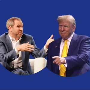 Ripple’s Garlinghouse suggests issues President Trump should address in his first 100 days in office