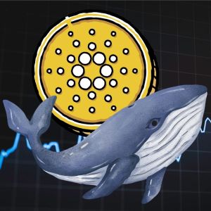 Cardano surges 76% as whale activity hits new highs, setting stage for potential rally