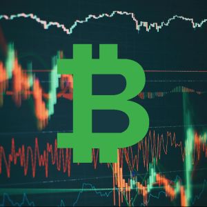 Crypto shorters bleed heavy amid “Extreme Greed” sentiments