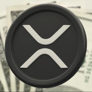 XRP soars on Ripple-Trump meeting speculation