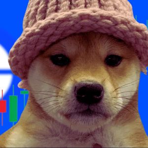 Coinbase adds Dogwifhat to its listing roadmap