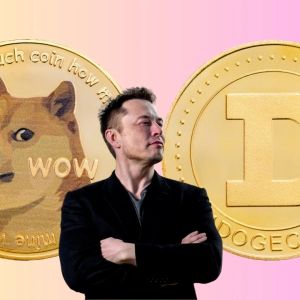 Elon Musk cleared from Dogecoin rigging lawsuit