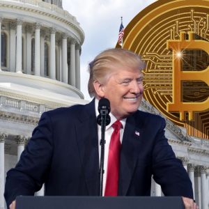 Trump picks a pro crypto government official once again