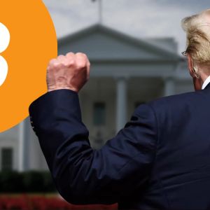 President-elect Donald Trump to appoint first-ever White House Crypto Czar