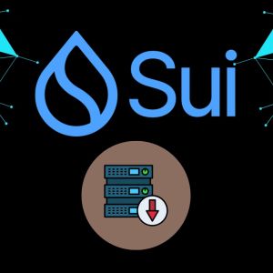 SUI network stalled block production for two hours