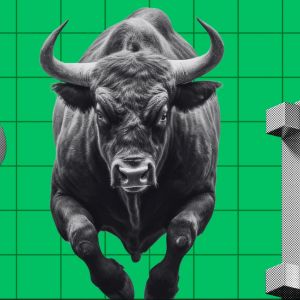 Retail investors missed the 2024 Bitcoin (BTC) bull run