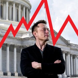 Elon Musk’s D.O.G.E could crash the US stock market