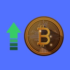 Bitwise founder and CEO Hunter Horsley says Bitcoin has a lot of room to run