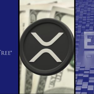 WisdomTree files to launch XRP ETF in Delaware, USA