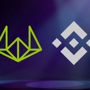 Binance’s meme token listings may be coming from Wintermute’s portfolio