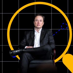 Why is Elon Musk’s D.O.G.E so widely expected to fail?
