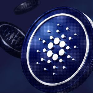 Cardano implements first ZK smart contract