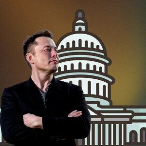 Elon Musk says his D.O.G.E is going after the IRS, plans to cut its budget
