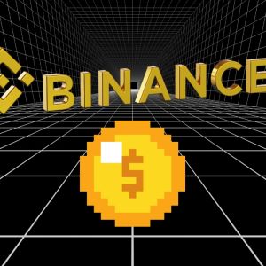 Binance CMO says meme coin listings are not guaranteed