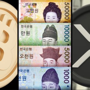 South Korean Won strengthens, while XRP, BTC, and equities tank amid calls for the president to step down