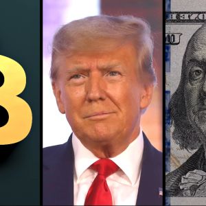 Trump might be forced to choose between saving Bitcoin or USD next year. What is he likely to do?