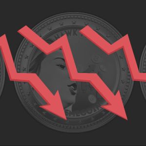 Hawk Tuah memecoin dumps 90% over controversial launch – Should investors continue to trust celeb memecoins?