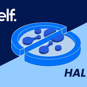 aelf First Halving Event: A Milestone in Sustainable Blockchain Growth